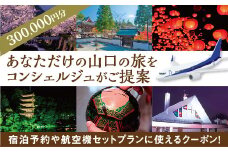 A002 山口オーダーメイド旅行プラン（300000円分）