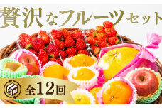 A027 ご褒美＊フルーツ定期便（12回）