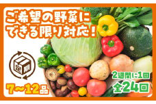 A028 わがままお野菜定期便（24回）
