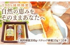 E031 純粋蜂蜜とスティック蜂蜜のセット