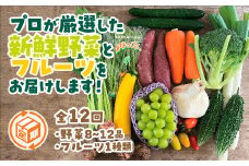 A035 朝採り野菜とフルーツの定期便（12回）