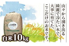 D352 しのめ清流米白米10㎏