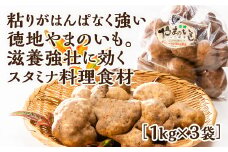 D121 徳地やまのいも1㎏袋(ご家庭用)×3袋