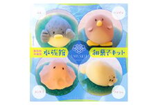 D145 ナチュラル和菓子体験キット（水族館和菓子）