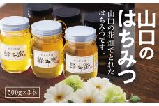 C033 山口のはちみつ　500g×3本