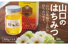 D155 山口のはちみつ　500g
