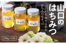 D028 山口のはちみつ　270g×3本