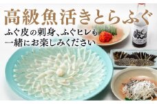 C026 とらふぐの刺身（33cmプラ皿）