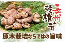 E092 長州乾椎茸セット(ホール35g×2袋＋スライス28g×1袋)