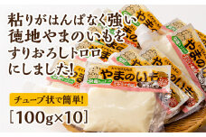 D020 徳地やまのいものすりおろしトロロ　100g×10個