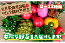 D116 　安心野菜ボックス