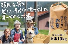 D365 頑固な男のお米（コシヒカリ）玄米10kg