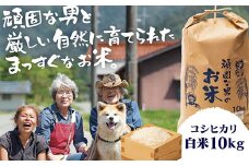 D364 頑固な男のお米（コシヒカリ）白米10kg