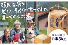 D366 頑固な男のお米（コシヒカリ）白米5kg