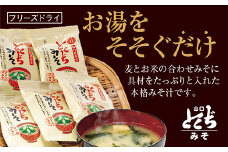 D110 とくぢ味噌フリーズドライみそ汁（合わせ）30ヶ入