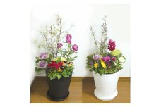 C032 季節の花の寄せ植え　８号鉢　選べる鉢色　室内園芸装飾マイスター岡部太郎氏監修
