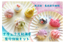 D075 ナチュラル和菓子体験キット（こしあん＆チョコあん）