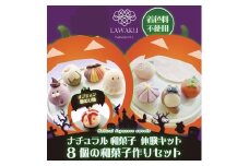 D075 ナチュラル和菓子体験キット（こしあん＆チョコあん）