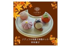 D243 ナチュラル和菓子体験キット　ギフトセット