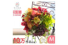 C052 宿根草 「ヒューケラ 花うるる ハンギング 寄せ植え」Mサイズ(多年草 屋外 観葉植物 母の日 ハンギングバスケット 春 夏 秋 冬 玄関 おしゃれ ギフト ガーデニング 誕生日 プレゼント 鉢植え 珍しい 完成品 ドルチェ カラーリーフ 寄植え