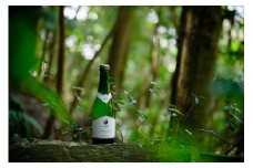 E076 【山口産りんご】YAMAシードル－スイート－（375ml×1本）やまぐちシードル