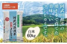 A094 【定期便】阿武川源流米コシヒカリ白米60㎏(5kg×12回)