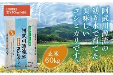 A095 【定期便】阿武川源流米コシヒカリ玄米60㎏(10kg×6回)