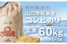 A080 特別栽培米阿東産コシヒカリ玄米60kg