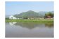 阿東の風景（初夏）