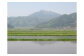 阿東の風景