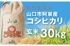 B081 特別栽培米阿東産コシヒカリ玄米30kg