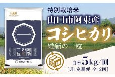 A079 維新の一粒5kg×12袋（白米） （月1定期便）