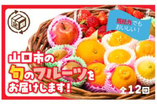 A086 規格外だけど美味しさ満点！エコ・フルーツアソートボックス定期便（12回）