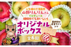 B088 山野りんりん直筆サイン入り規格外でも美味しい　SDGｓなフルーツ定期便（6回）