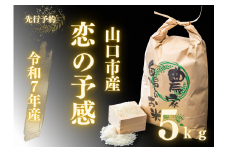 D397 農家直送！山口市産新米「恋の予感」精米5kg