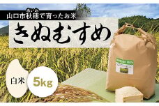 D417 あいお（秋穂）で育ったお米 きぬむすめ 白米 5kg