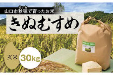 A101 あいお（秋穂）で育ったお米　きぬむすめ　玄米30kg