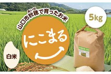 D420 あいお（秋穂）で育ったお米 にこまる 白米 5kg