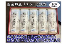 萩かまぼこ 170g 白5本【化粧箱入】（国産鮮魚エソ100％）　｜HG000076