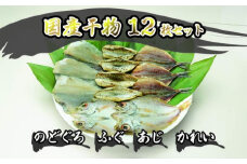 干物 セット 12枚 のどぐろ ふぐ あじ かれい 魚 国産 NF-MB　｜HG000123