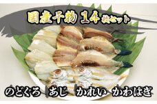 干物 セット 14枚 4種 のどぐろ  あじ かれい かわはぎ 魚 国産 NM　｜HG000124