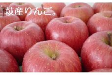 リンゴ 詰め合わせ 萩りんご 萩産 季節の品種  約6～7玉　｜HG000201