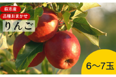 リンゴ 詰め合わせ 萩りんご 萩産 季節の品種  約6～7玉　｜HG000201