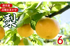 梨 詰め合わせ 先行予約 約6玉 小川梨 季節の品種 萩産　｜HG000202
