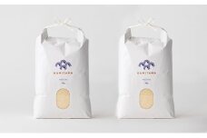 コシヒカリ 令和7年 5kg×2袋 セット 米 コメ こめ 萩産 KAMITAMA　｜HG000291