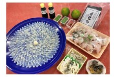 ふぐ 山口県産 とらふぐ 料理 セット 6人前 フグ ふぐちり 魚 魚介 配達不可：離島　｜HG000378