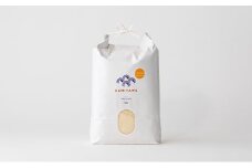 きぬむすめ 令和7年 5kg 米 コメ こめ 萩産 KAMITAMA　｜HG000389
