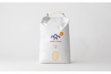 きぬむすめ 令和7年 10kg 米 コメ こめ 萩産 KAMITAMA　｜HG000390