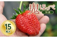 道の駅萩往還の名物イチゴ／「鬼ほっぺ®」 特選　15粒入　｜HG000398