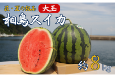 スイカ 約8kg 萩・夏の銘品 相島 西瓜 秀品 大玉すいか フルーツ 果物 果物類 贈答品 ギフト　｜HG000399